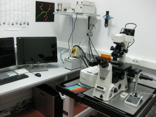 Microscopía de fluorescencia y confocal