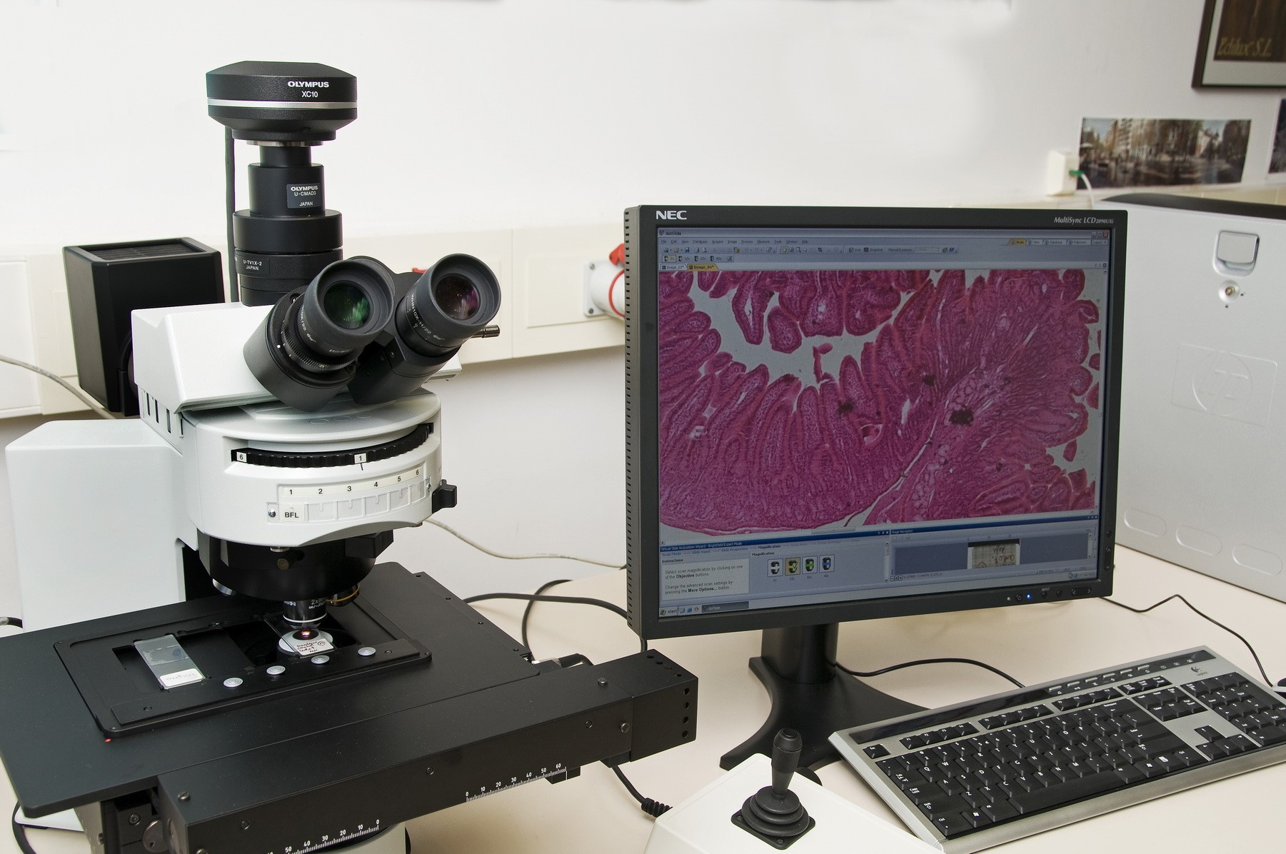 equipo microscopía óptica de digitalización de imágenes