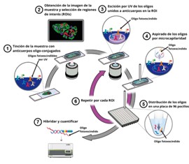 NanoString